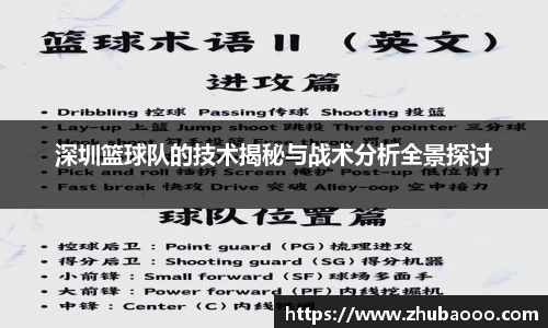 深圳篮球队的技术揭秘与战术分析全景探讨
